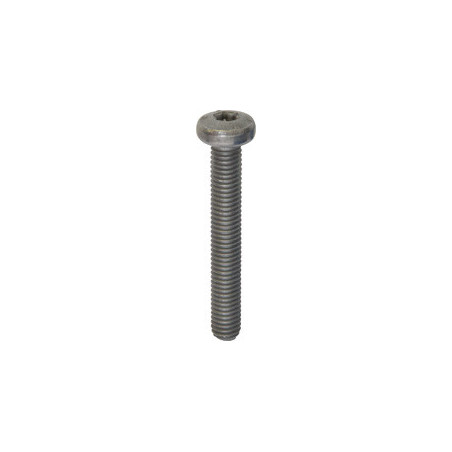 PAN HEAD METRIC SCREW RECESS X20 M5 X 35 mm