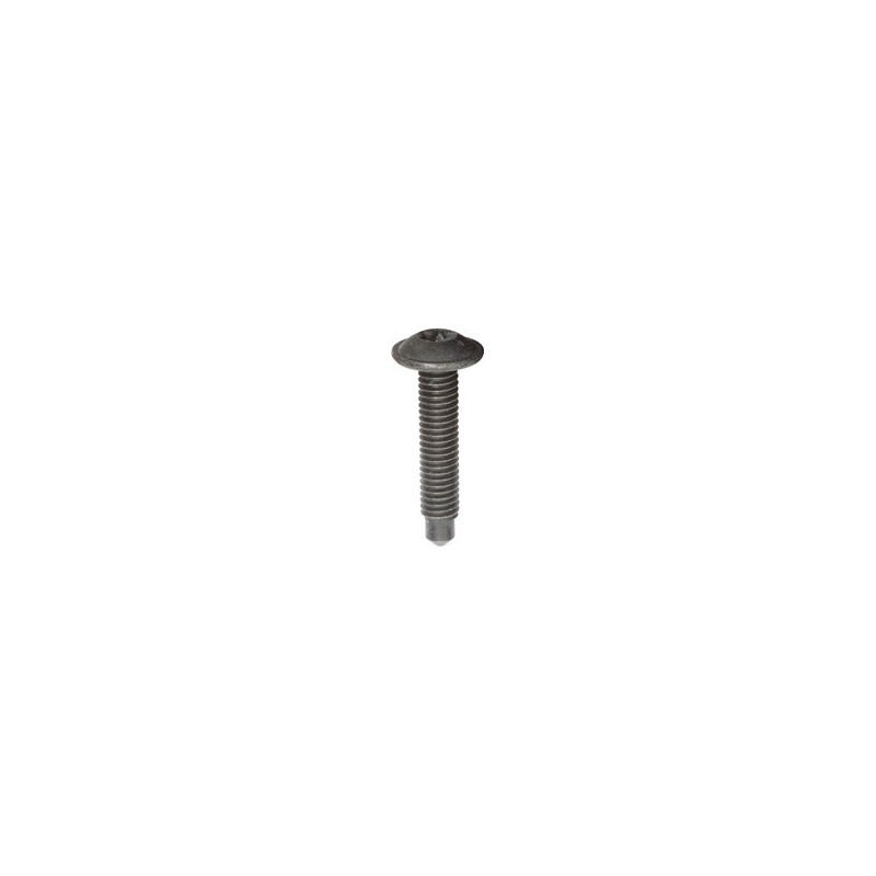 VIS À MÉTAUX TÊTE RONDE LARGE EMPREINTE X30 M6 X 30 mm