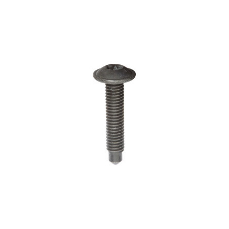 ROUND LARGE HEAD METRIC SCREW RECESS X30 M6 X 30 mm