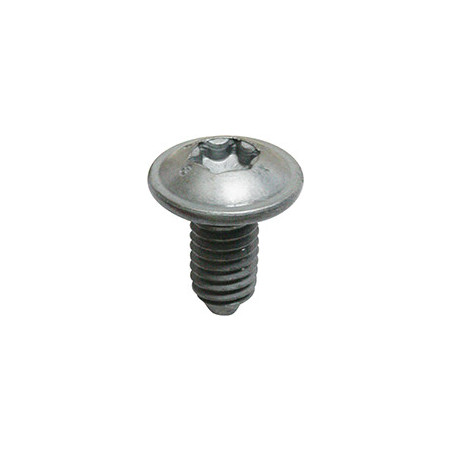 ROUND LARGE HEAD METRIC SCREW RECESS X30 M6 X 12 mm