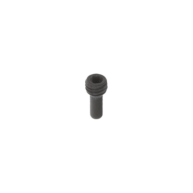 VIS À MÉTAUX SANS TÊTE EMPREINTE HEXAGONALE CREUSE M8 X 16 mm