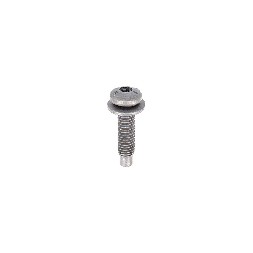 PAN HEAD + CAPTIVE WASHER METRIC SCREW RECESS X20 M5 X 20 mm