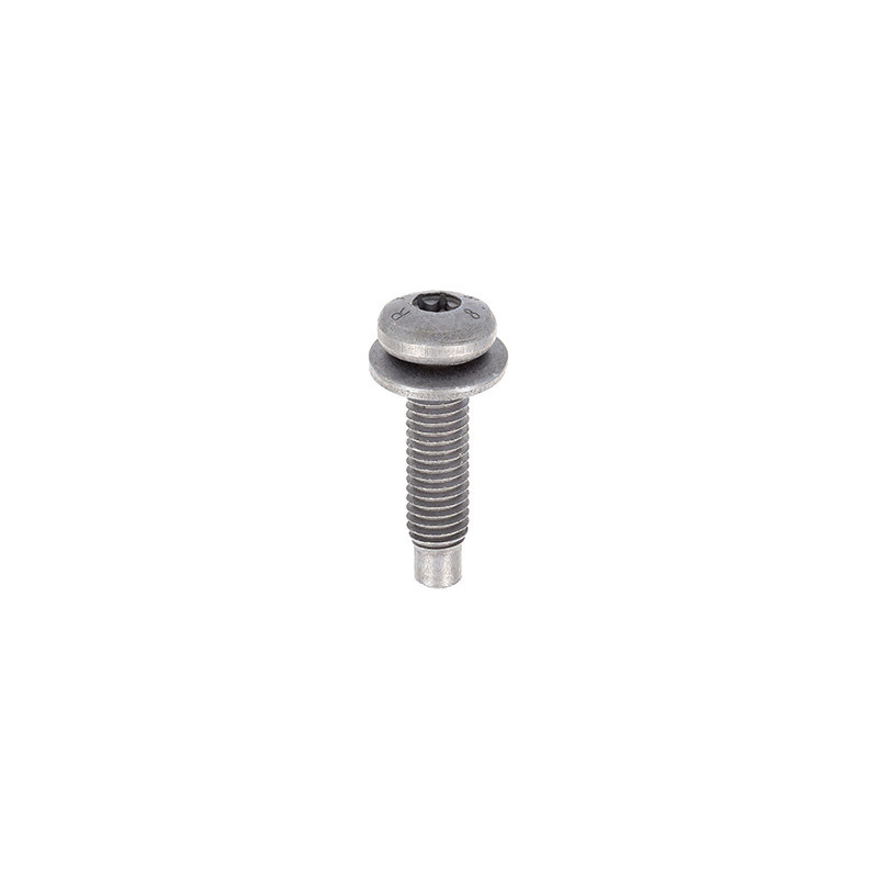 PAN HEAD + CAPTIVE WASHER METRIC SCREW RECESS X20 M5 X 20 mm