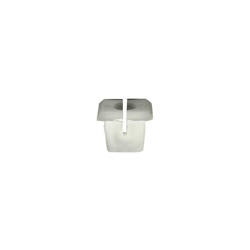 PLASTIC NUT Ø 6 mm