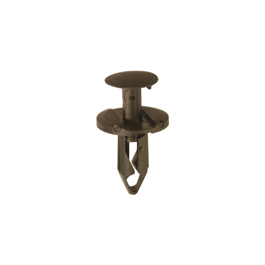 RIVET