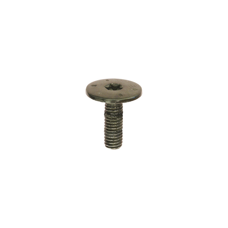 EXTRA LARGE DOME HEAD BLACK SCREW M6-1.00 X 18 mm