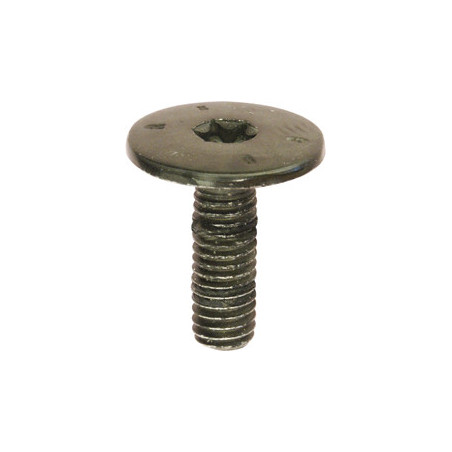 EXTRA LARGE DOME HEAD BLACK SCREW M6-1.00 X 18 mm