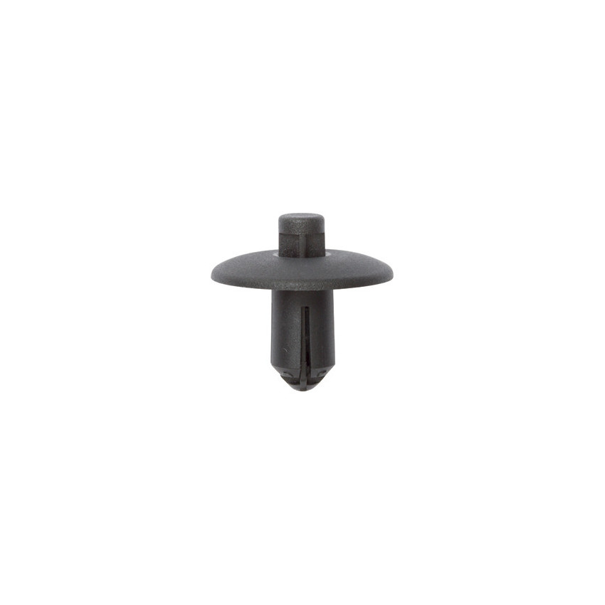 RIVET