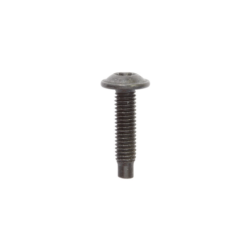 BLACK ZINC PLATED TRUSS HEAD SCREW M6-1.00 X 25 mm