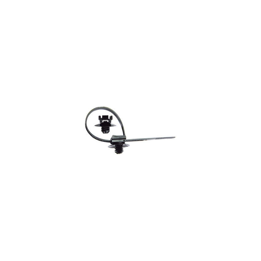 ARROWHEAD