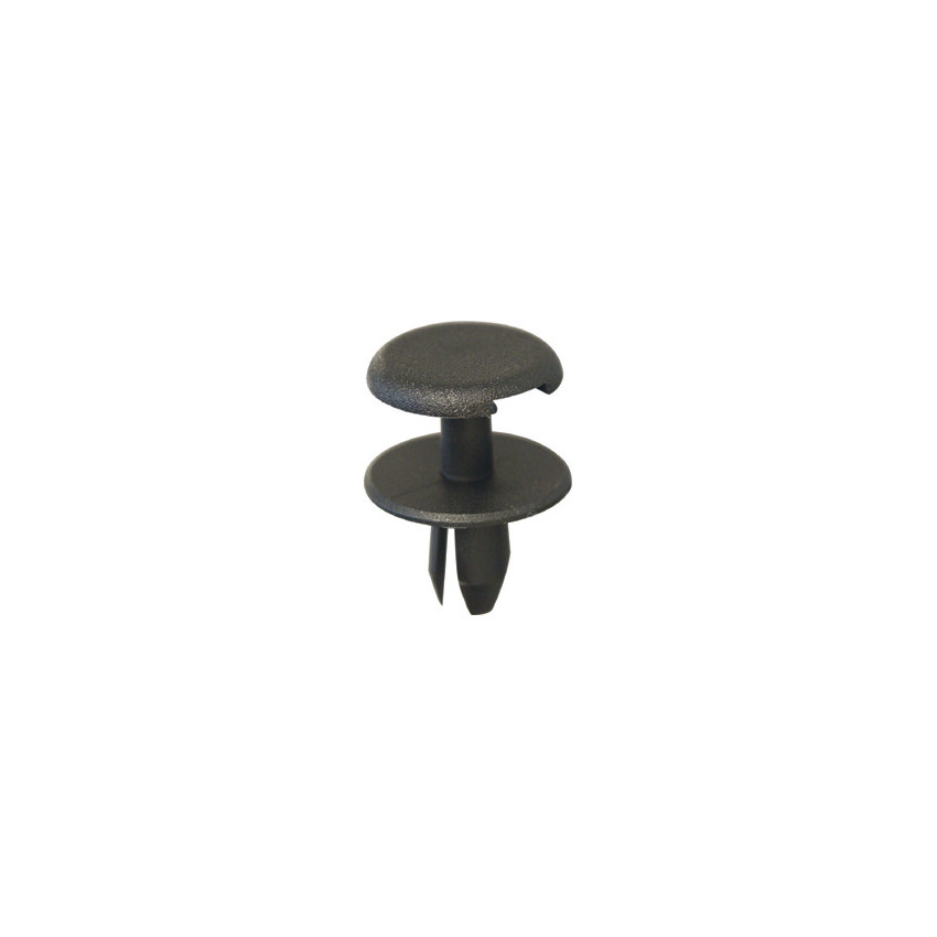 RIVET