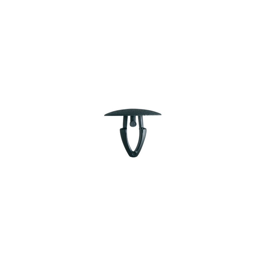 AGRAFE