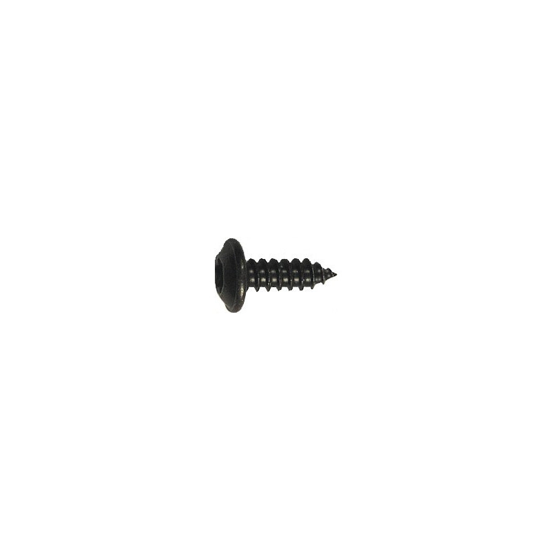 BLACK ZINC PLATED TRUSS HEAD SELF TAPPING SCREW Ø 4,2 x 13 mm NFE 25-655