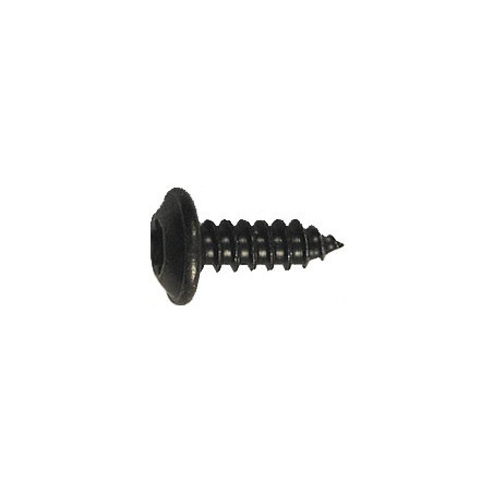 BLACK ZINC PLATED TRUSS HEAD SELF TAPPING SCREW Ø 4,2 x 13 mm NFE 25-655